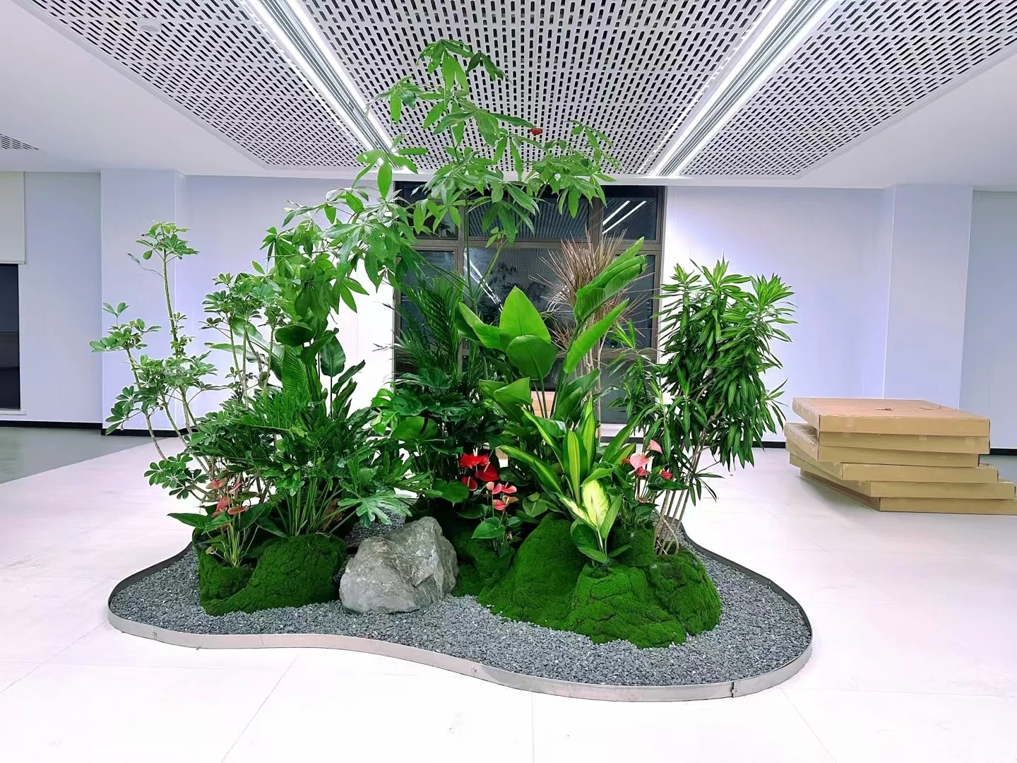 价格超实惠的宁波奉化花木租摆,速来!