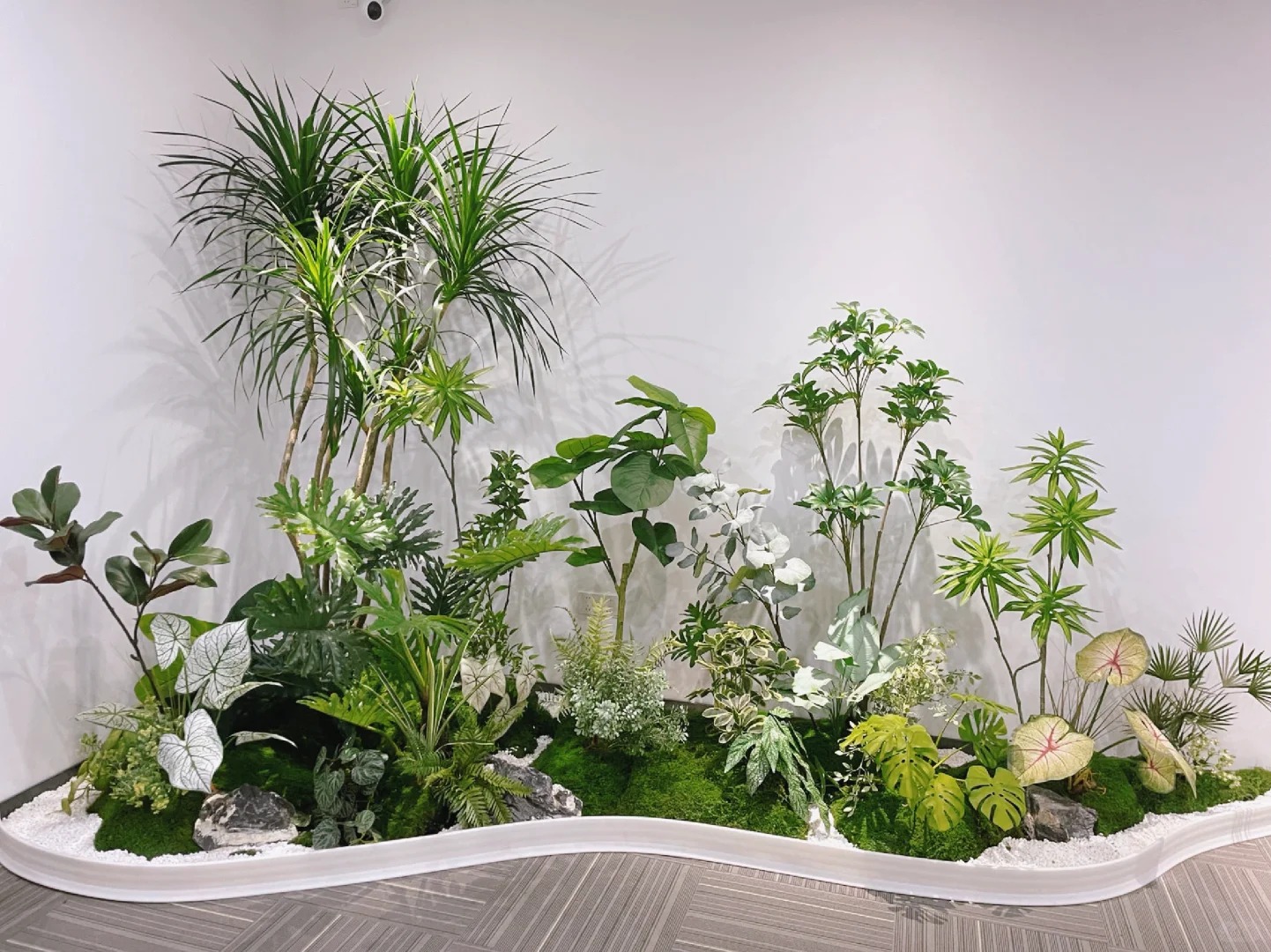 价格超实惠的宁波奉化花木租摆,速来!